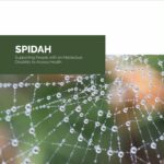 Cover of SPIDAH Foundational Report featuring image of a spider web.